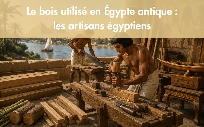 Le bois utilisé en Égypte antique : les artisans égyptiens